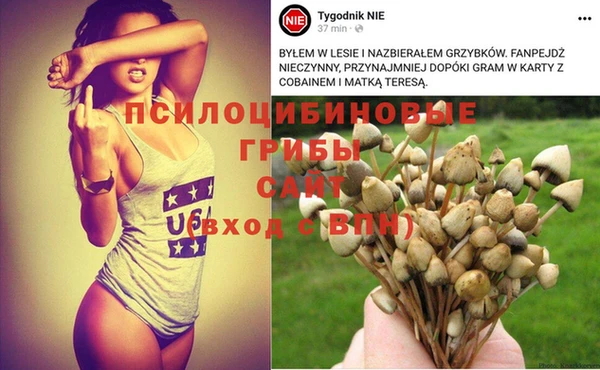 скорость Горняк