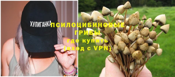 Альфа ПВП Горно-Алтайск