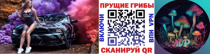 Купить где  Касли  Галлюциногенные грибы мухоморы 